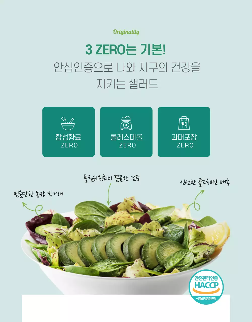 사람과 지구를 생각하는 그린계열의 비건 샐러드