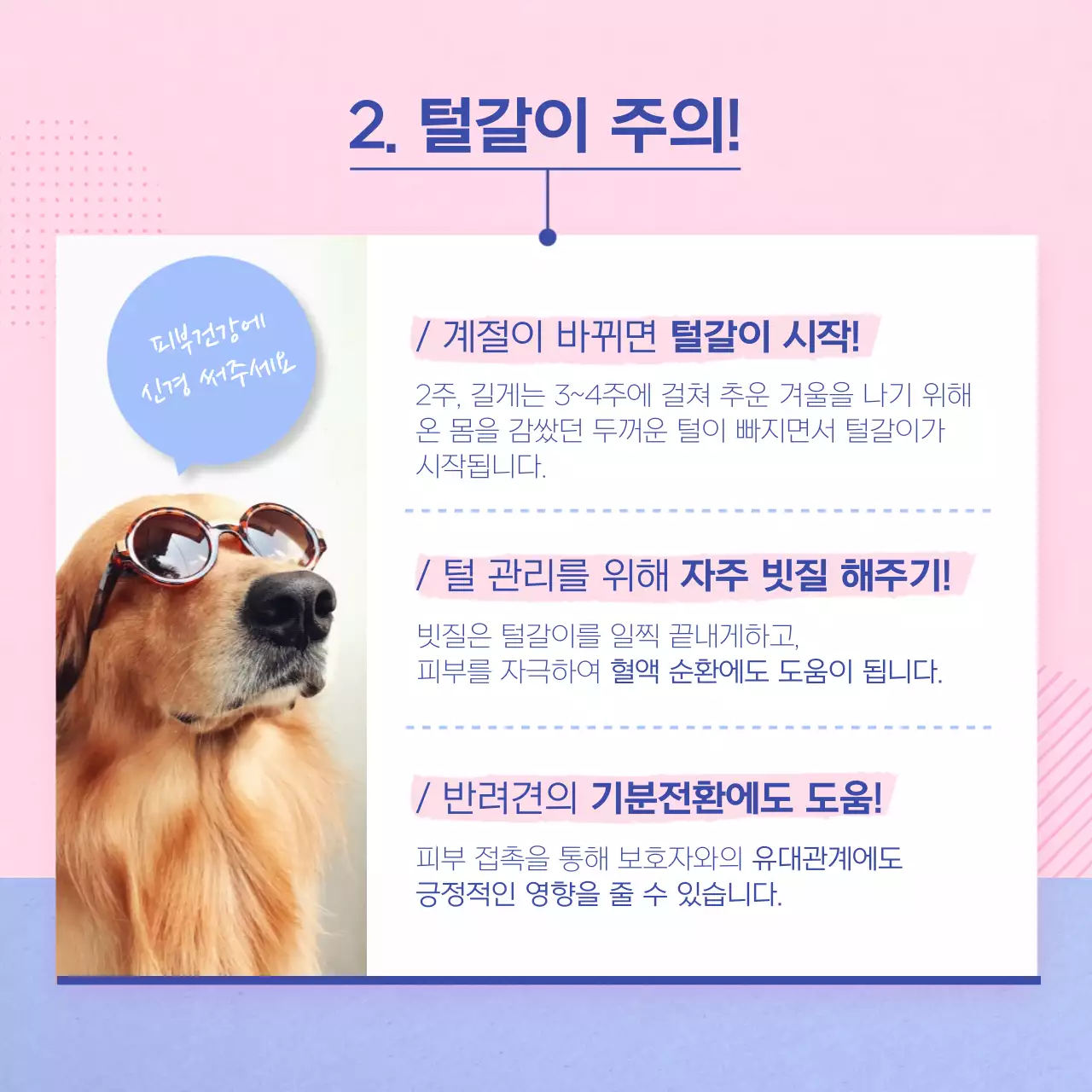 핑크색과 하늘색의 아기자기한 강아지관리법 안내서