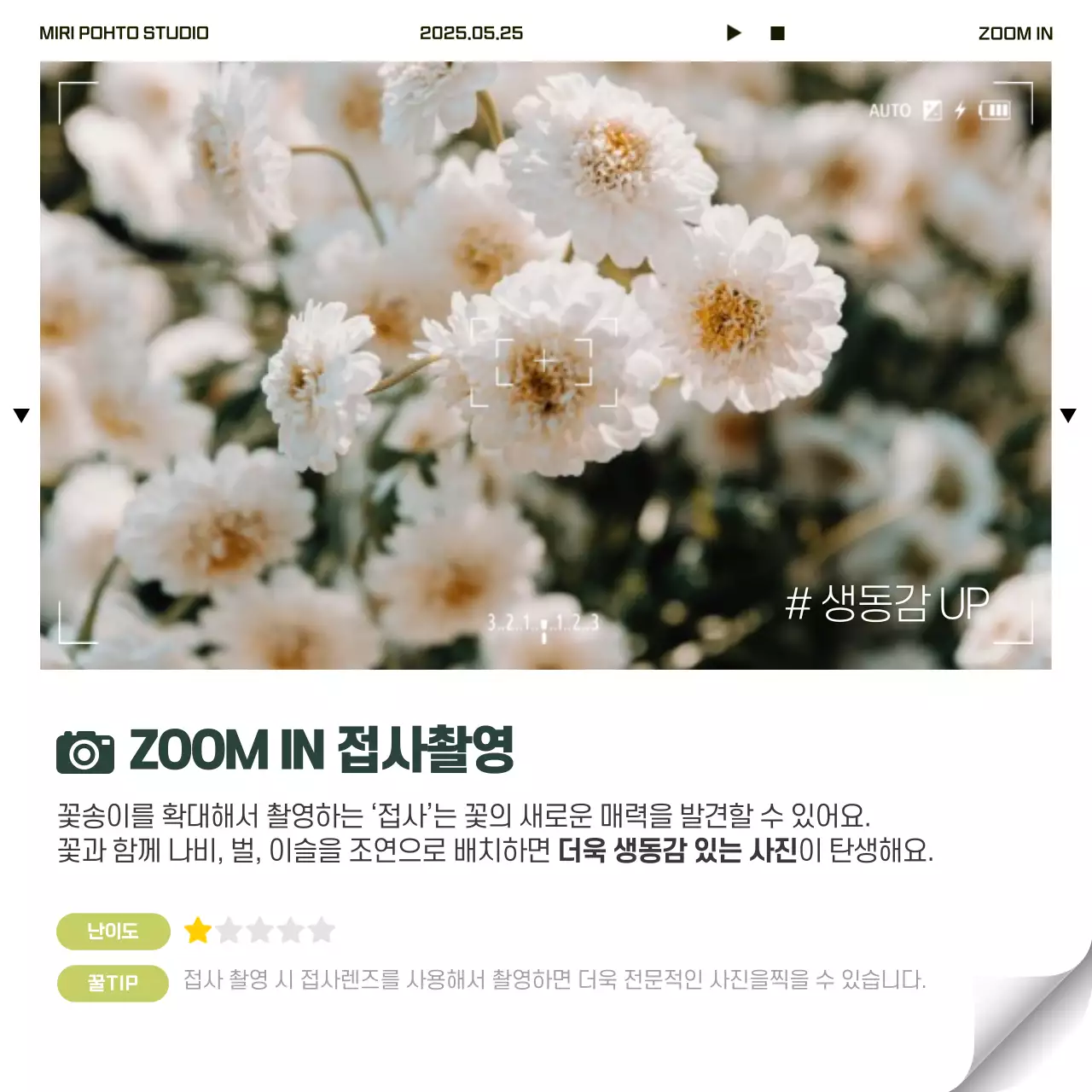 인생네컷 스타일의 사진 잘 찍는 꿀팁  카드뉴스 디자인