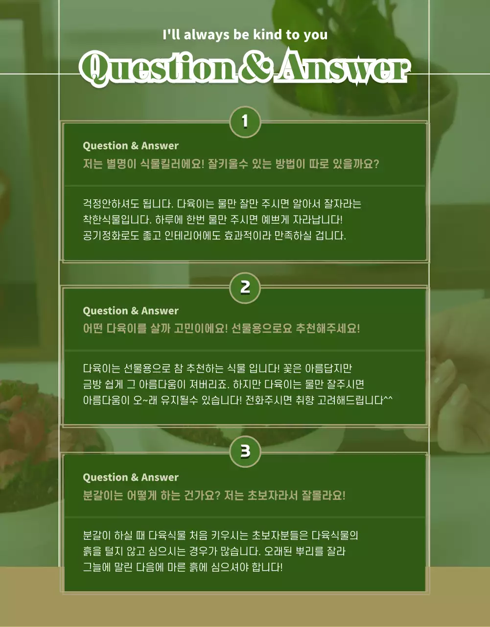 초록색과 베이지색의 다육이 상세페이지