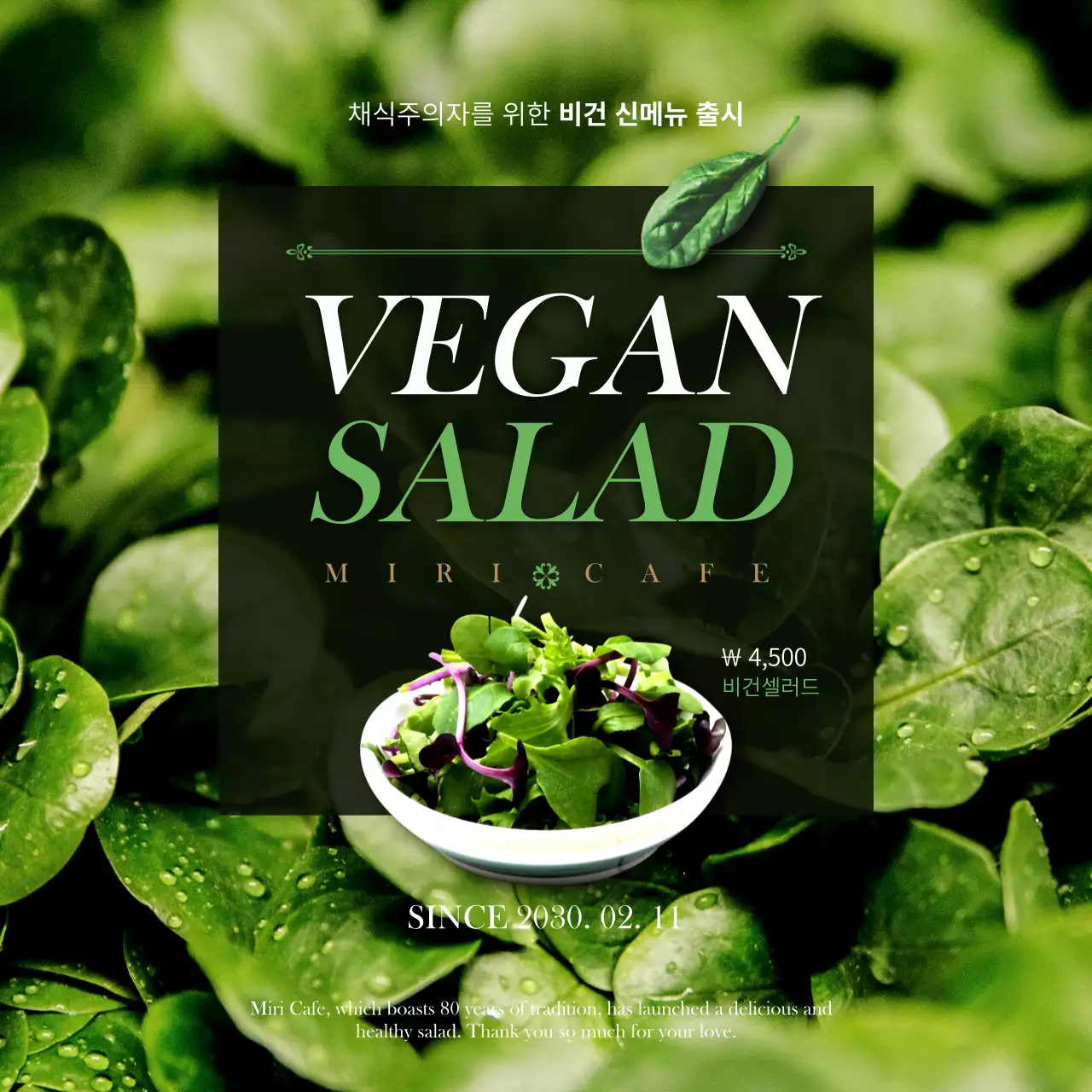 초록색 비건 샐러드 홍보 소셜미디어