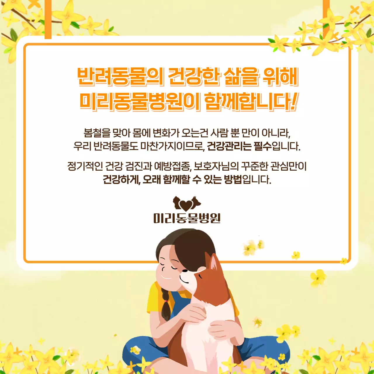 봄 배경의 귀여운 강아지 건강관리법 카드뉴스