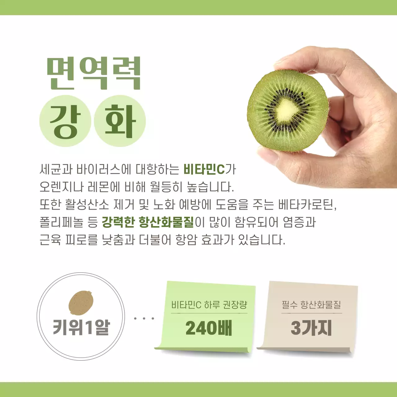 초록색 사진과 캐릭터 조합 깔끔한 컨셉의 키위정보공유 테마