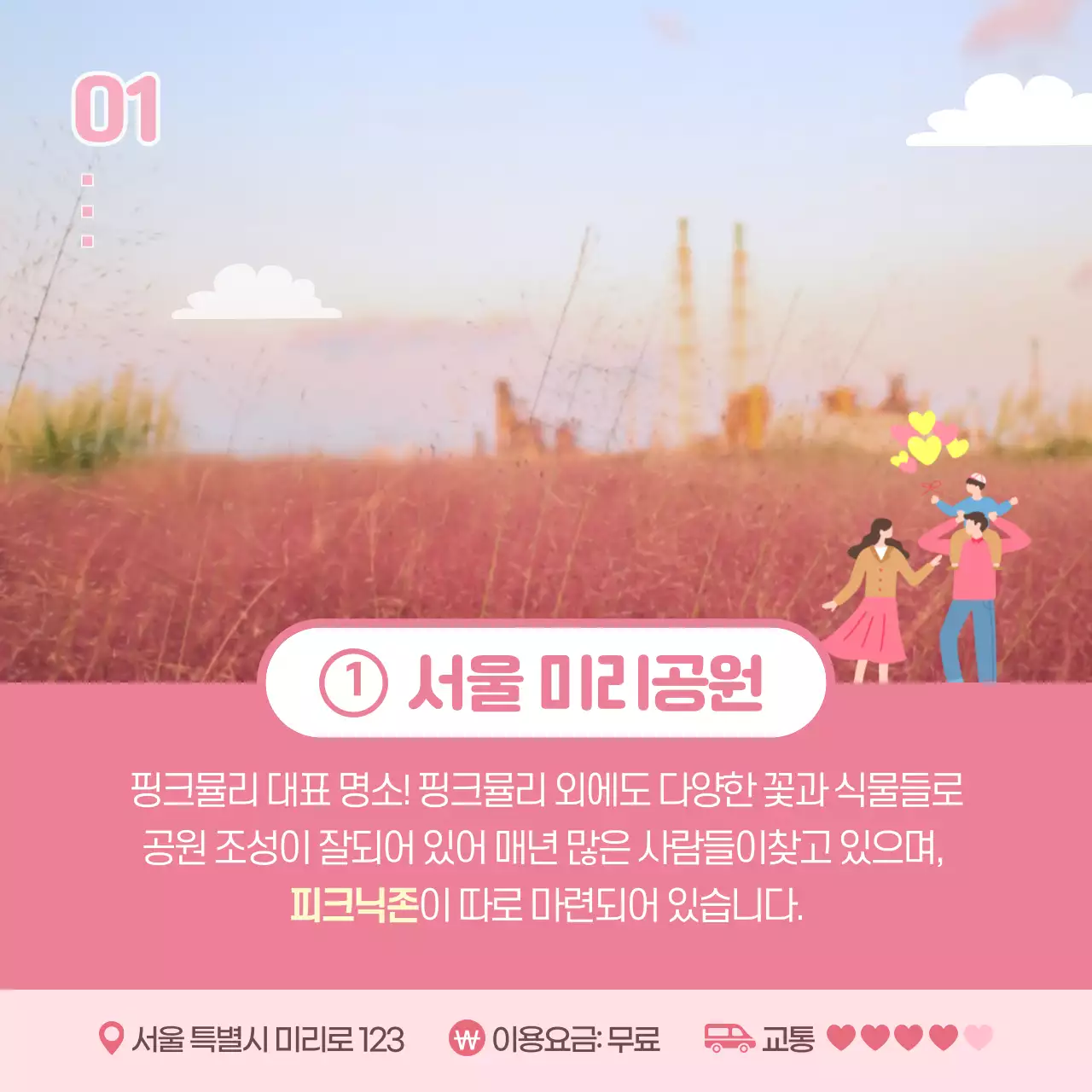 분홍색의 핑크뮬리 명소 카드뉴스 디자인