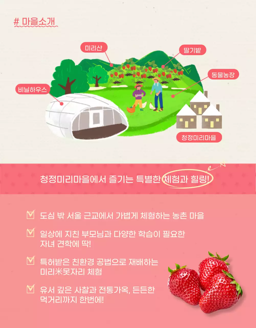 핑크컬러의 일러스트 딸기농장체험 상세페이지