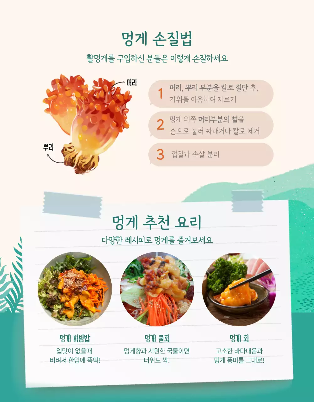 바다 일러스트가 있는 멍게 판매 안내