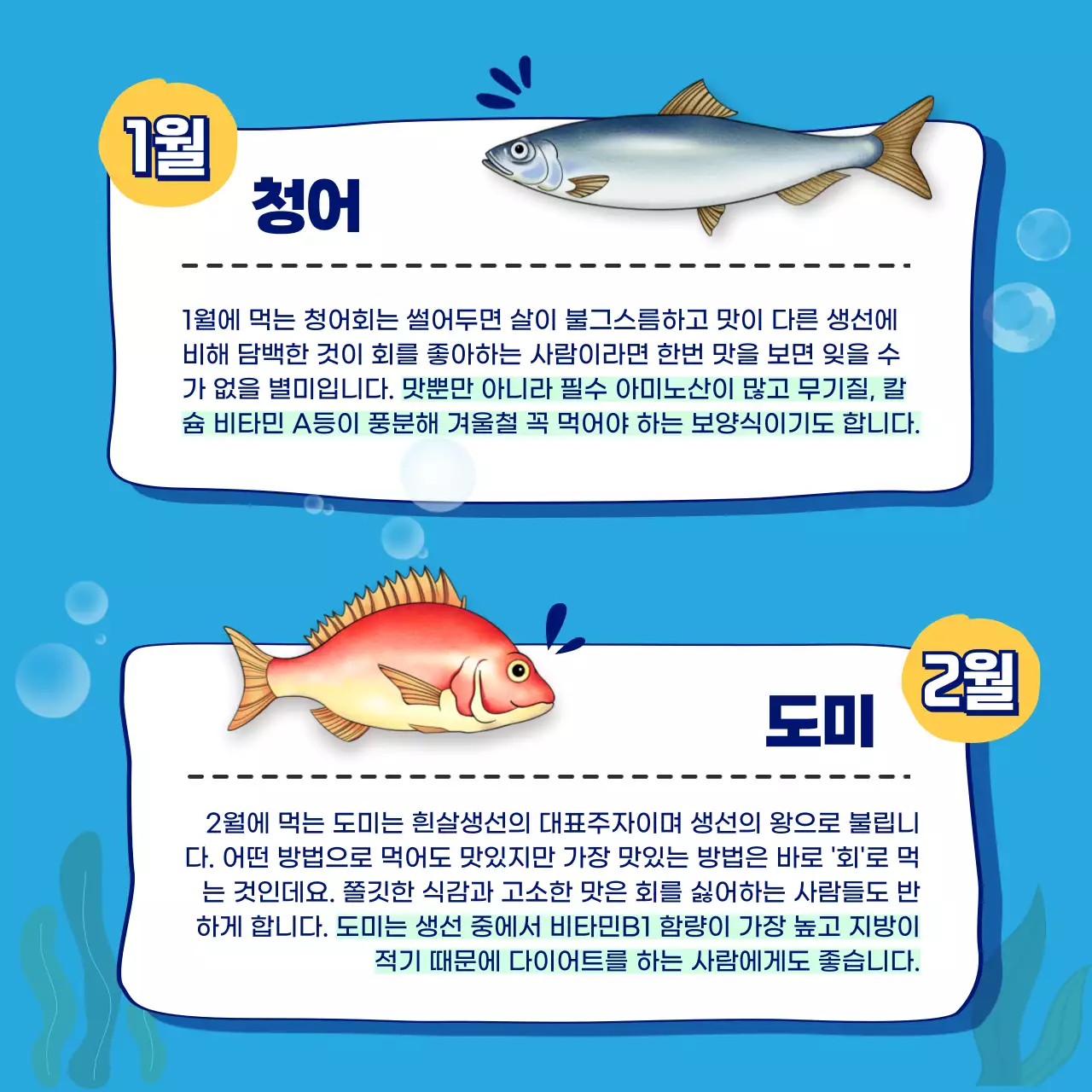 파란색의 제철회 월별 가이드 카드뉴스