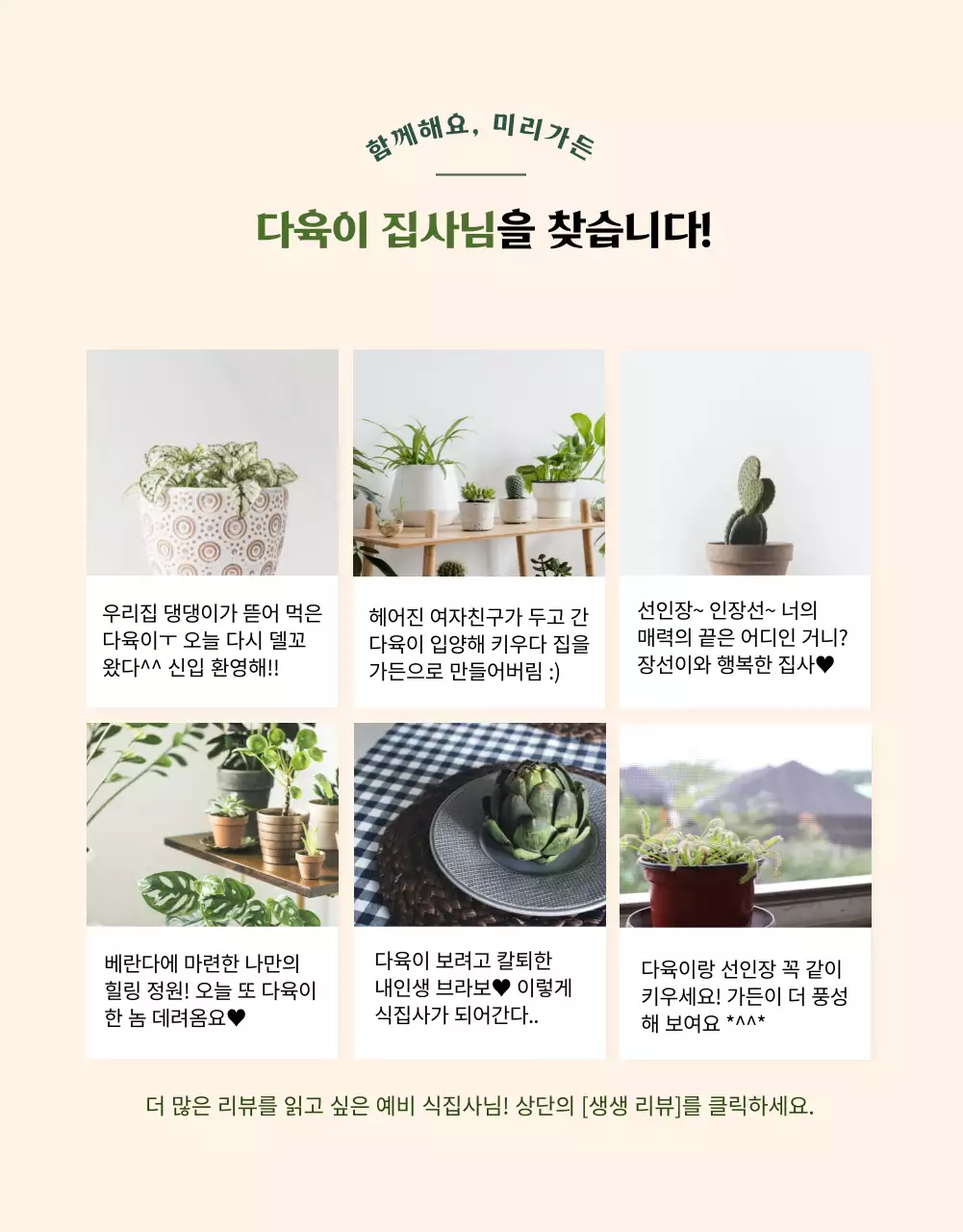 그린컬러 사랑스러운 다육이 전문 쇼핑몰(상세페이지)