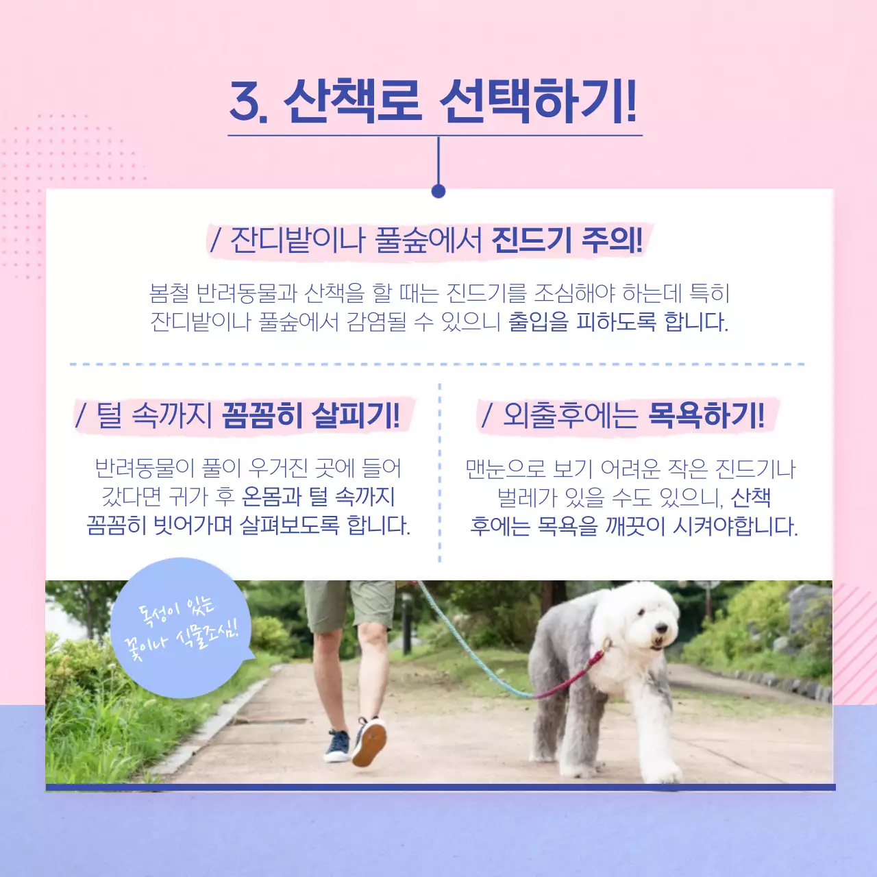 핑크색과 하늘색의 아기자기한 강아지관리법 안내서