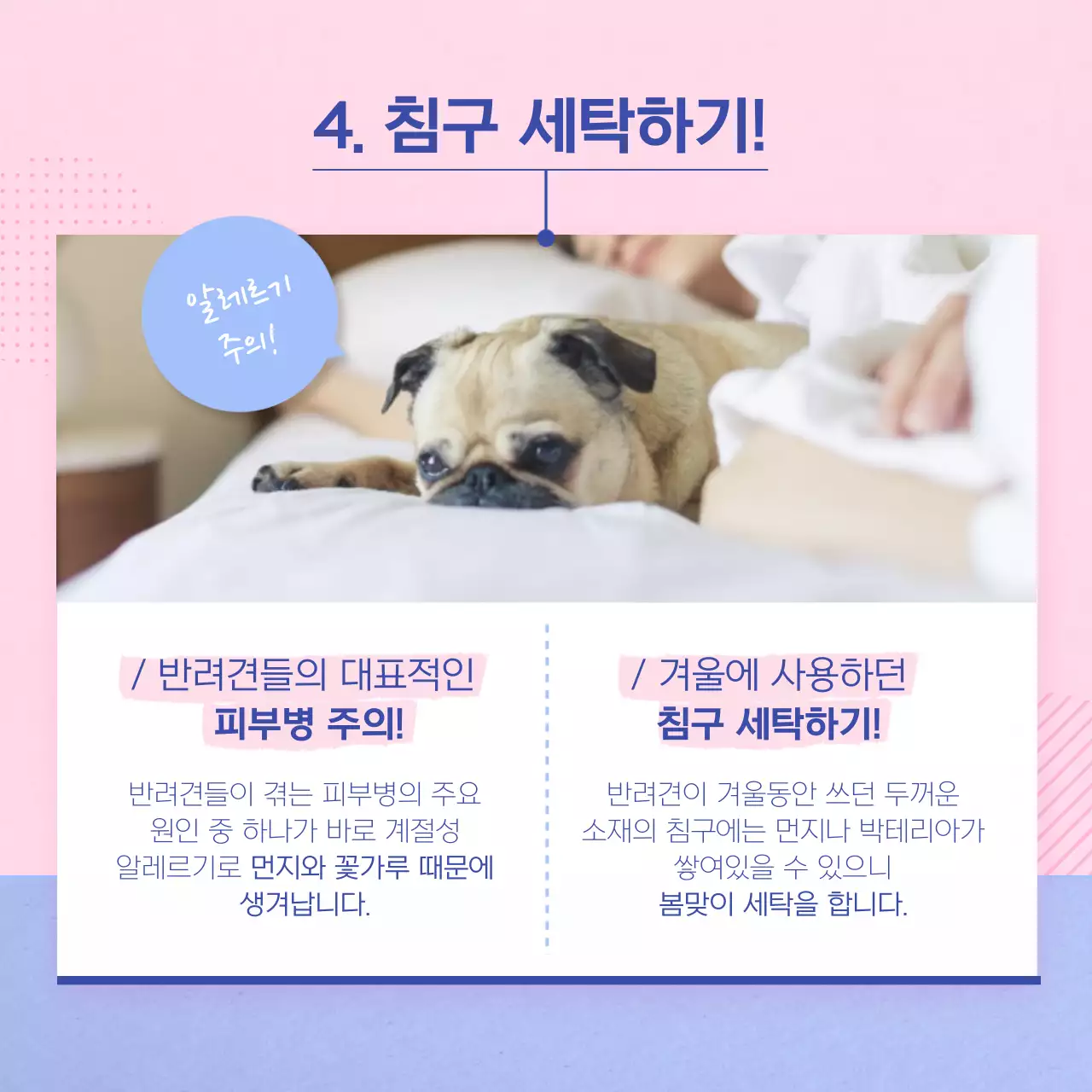 핑크색과 하늘색의 아기자기한 강아지관리법 안내서