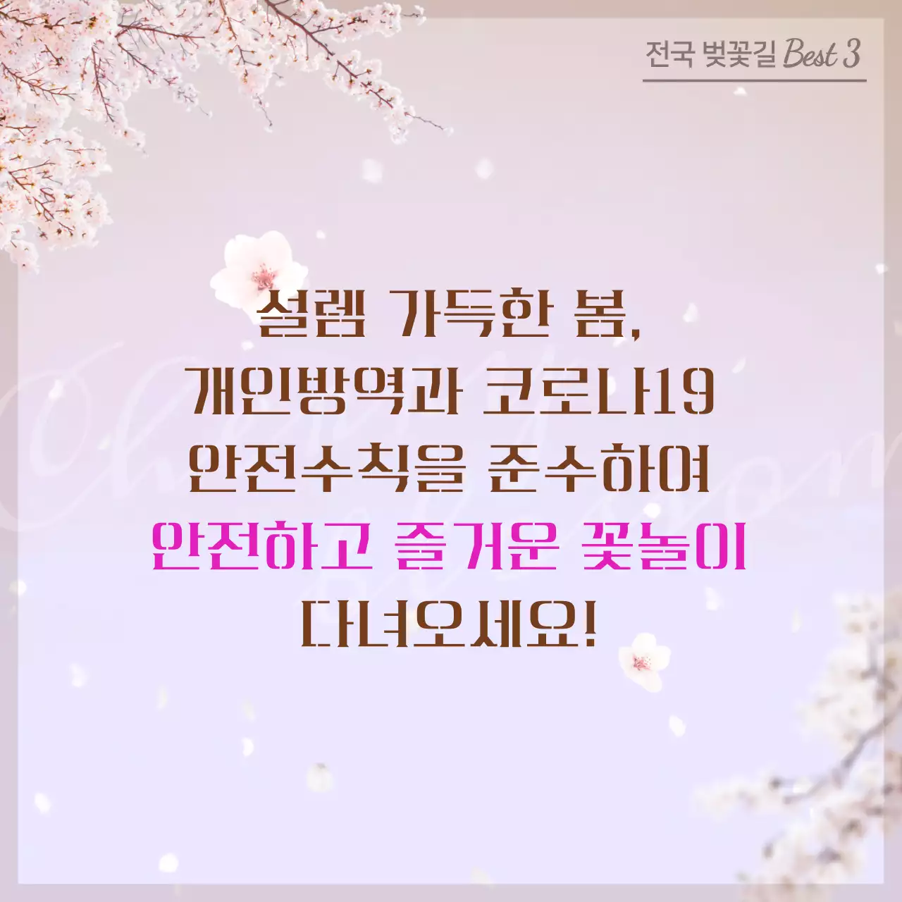 파스텔 톤의 벚꽃 드라이브 명소
