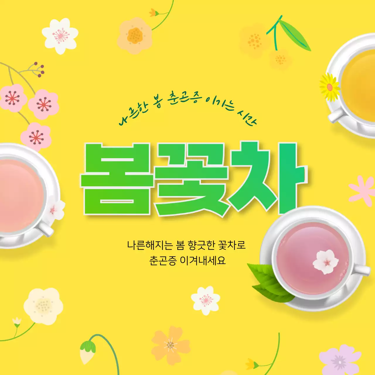 노란색의 상큼한 일러스트 봄꽃차 정보제공