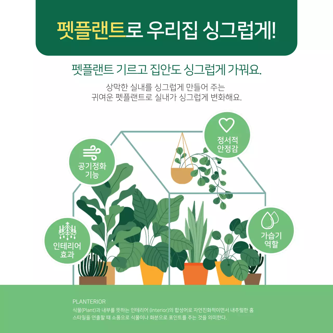 초록색의 일러스트 반려식물 정보제공