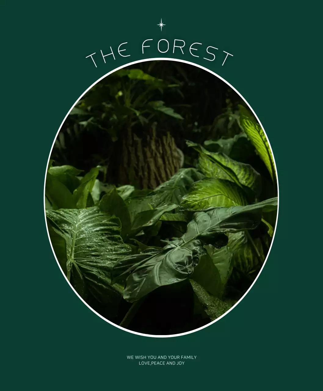 짙은 초록색과 하얀색의 감성적인 프레임 컨셉 개인 굿즈용