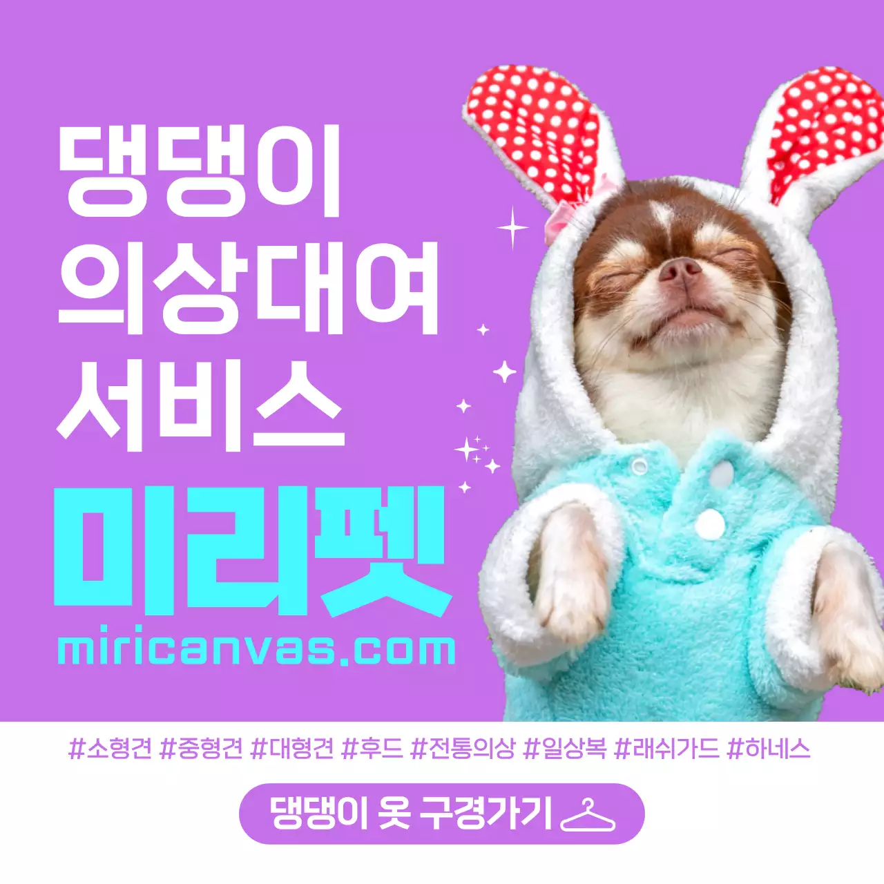 보라색 배경의 토끼옷 입은 강아지 사진이 있는 강아지 의상대여 서비스 홍보