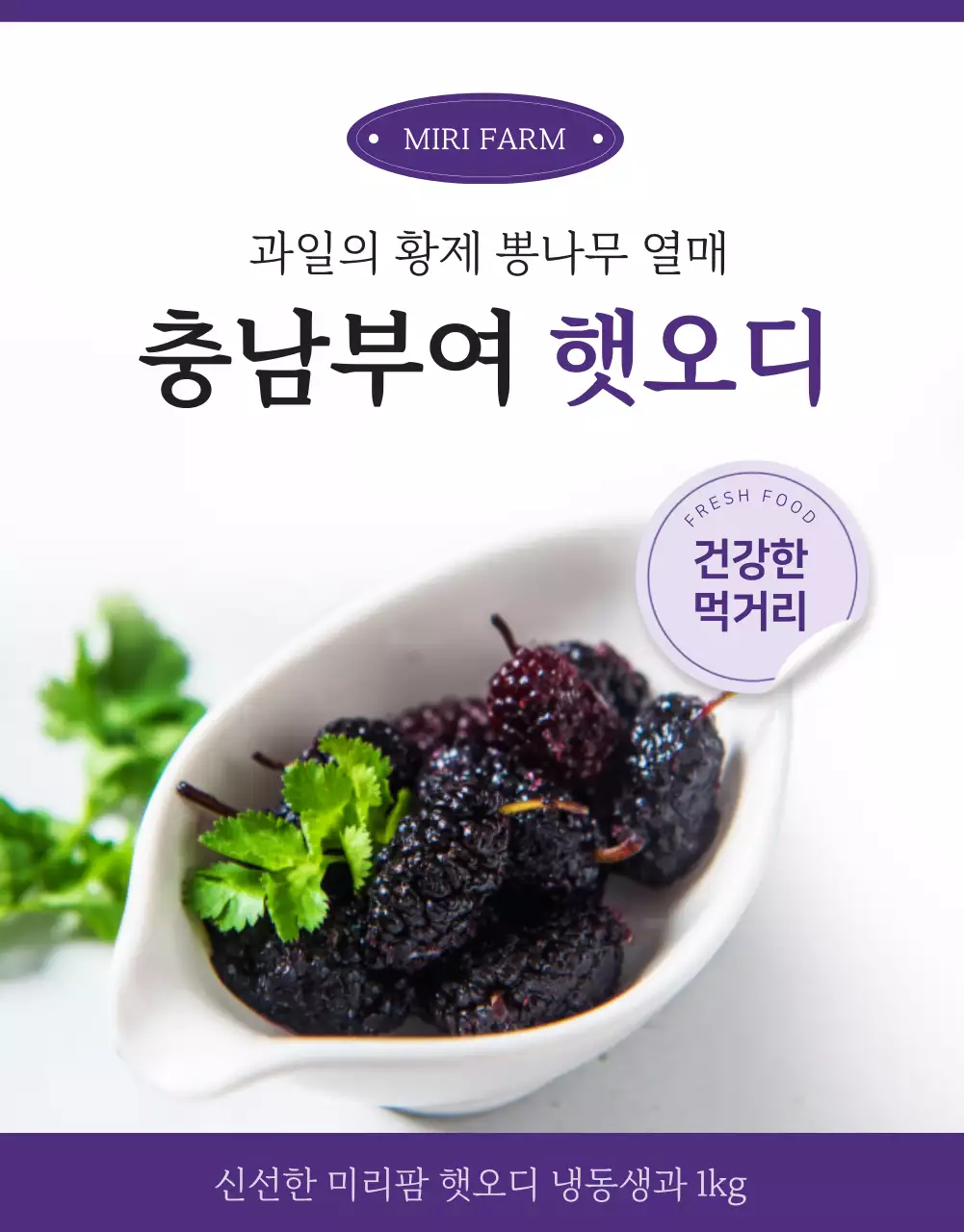 보라색의 신선한 오디생과