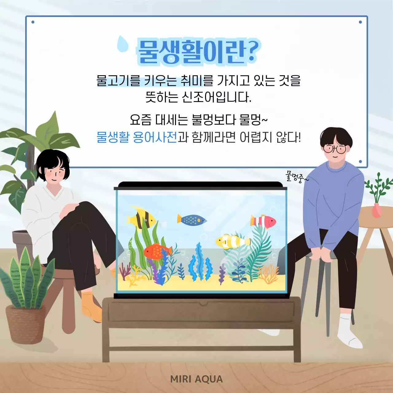 파란색 물결무늬 물고기가 많은 수족관 배경의 물생활 용어사전 카드뉴스