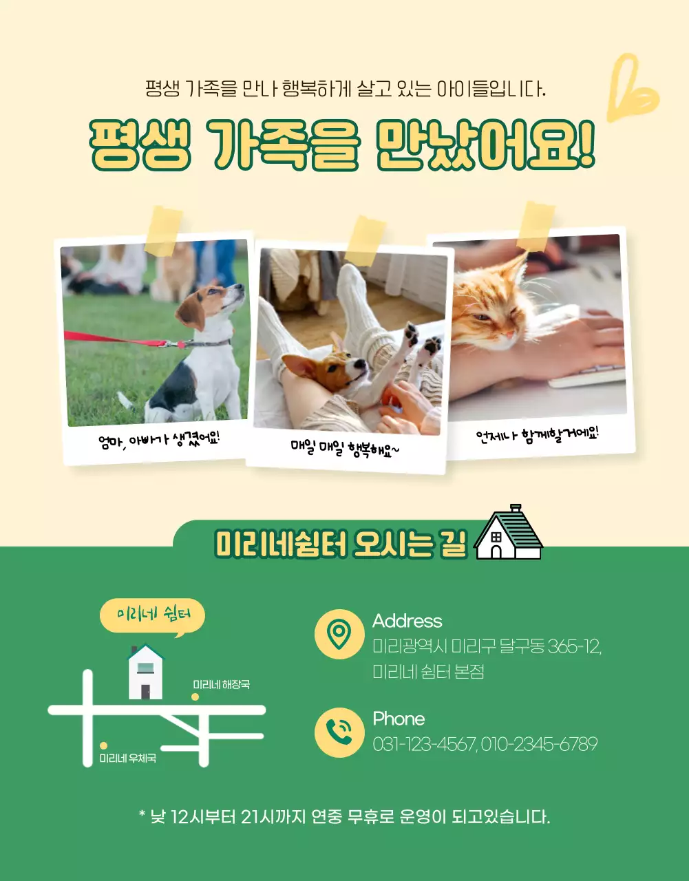 초록과 노랑의 반려동물 입양 안내 상세페이지