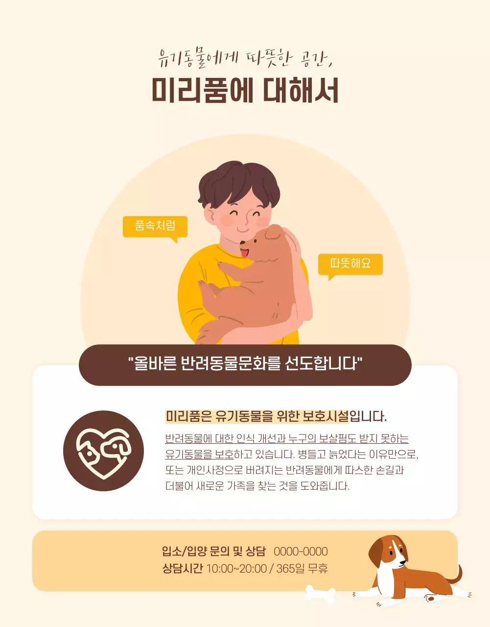 노란색 갈색 톤의 일러스트 입양 공고 상세페이지