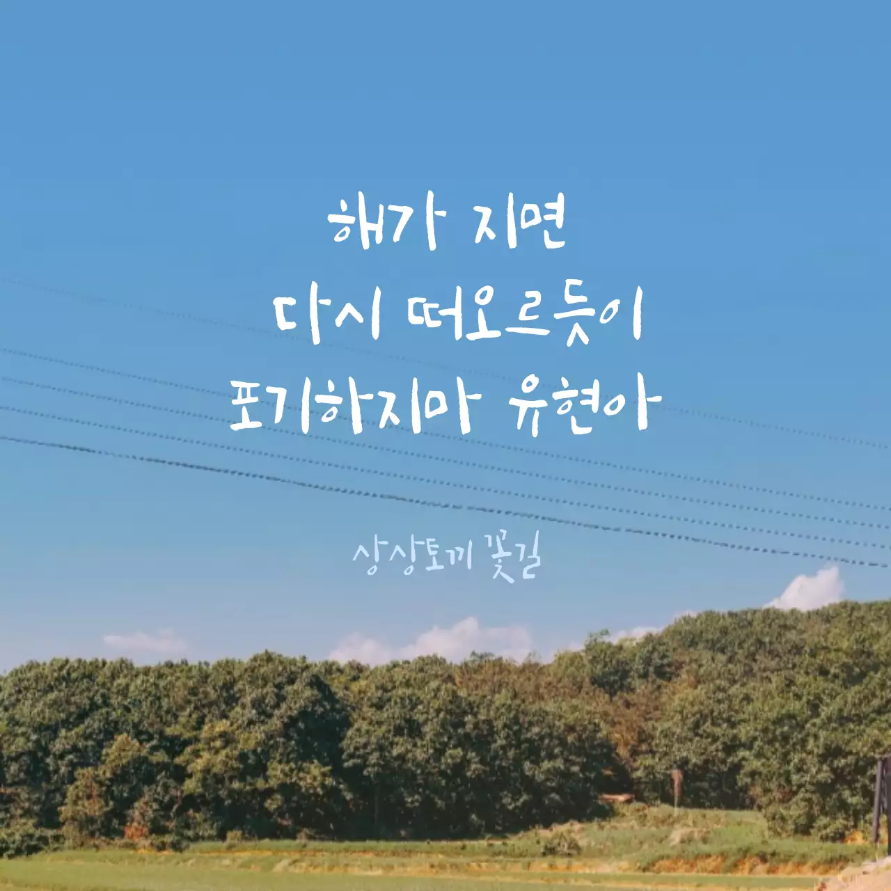 감성문구 소셜이미지