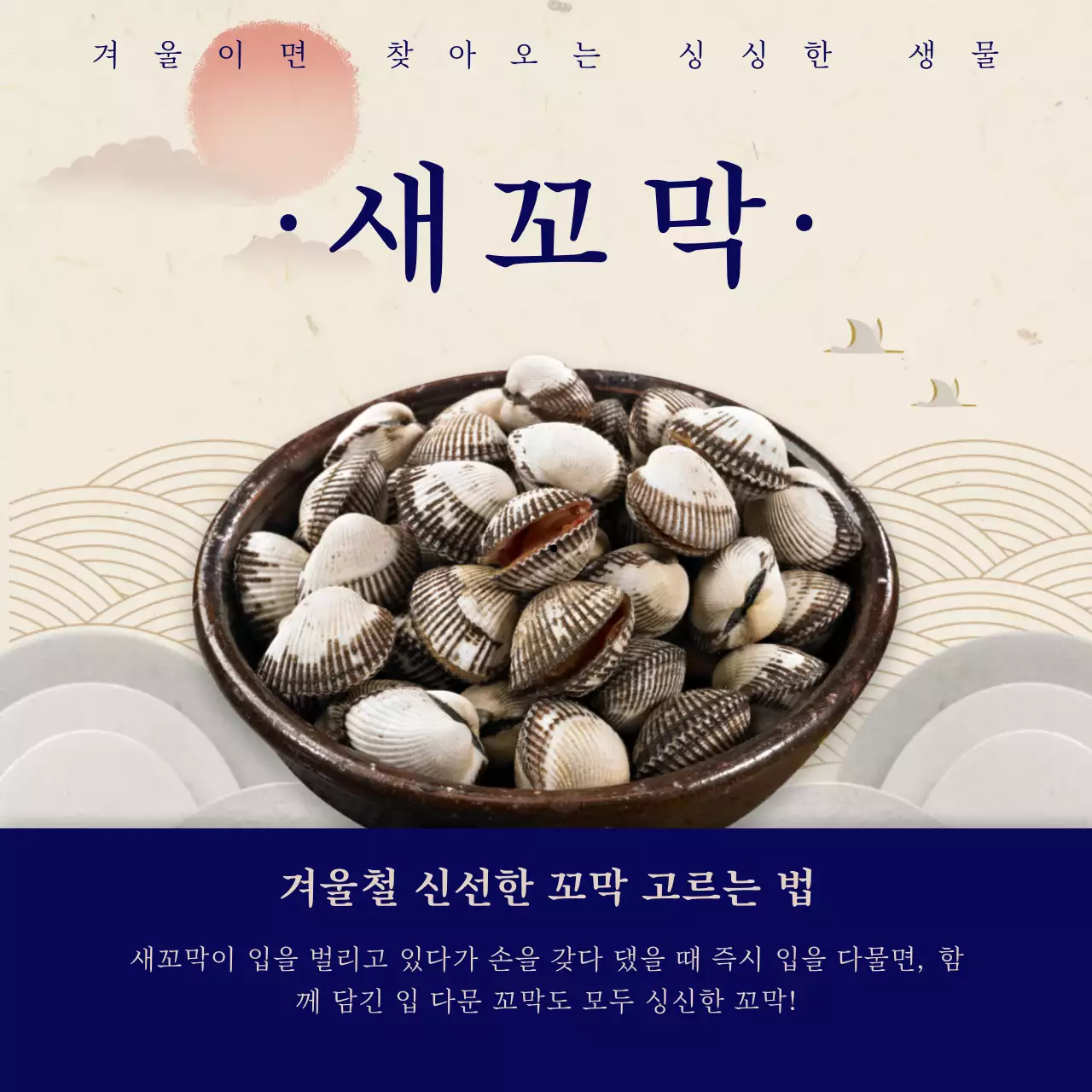 파란색 아이보리의 꼬막 정보 컨텐츠