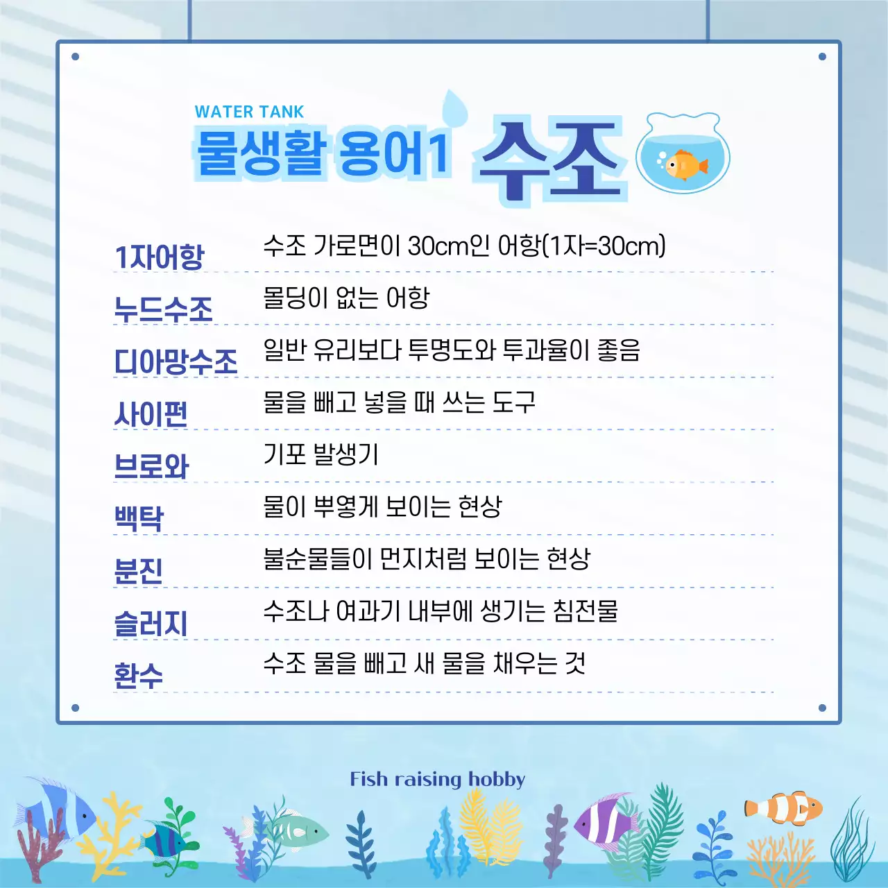 파란색 물결무늬 물고기가 많은 수족관 배경의 물생활 용어사전 카드뉴스