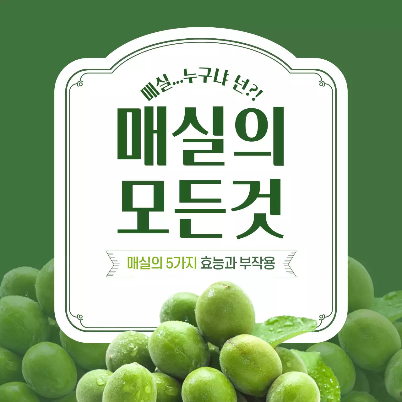 초록색 분위기의 매실의 효능 카드뉴스 디자인