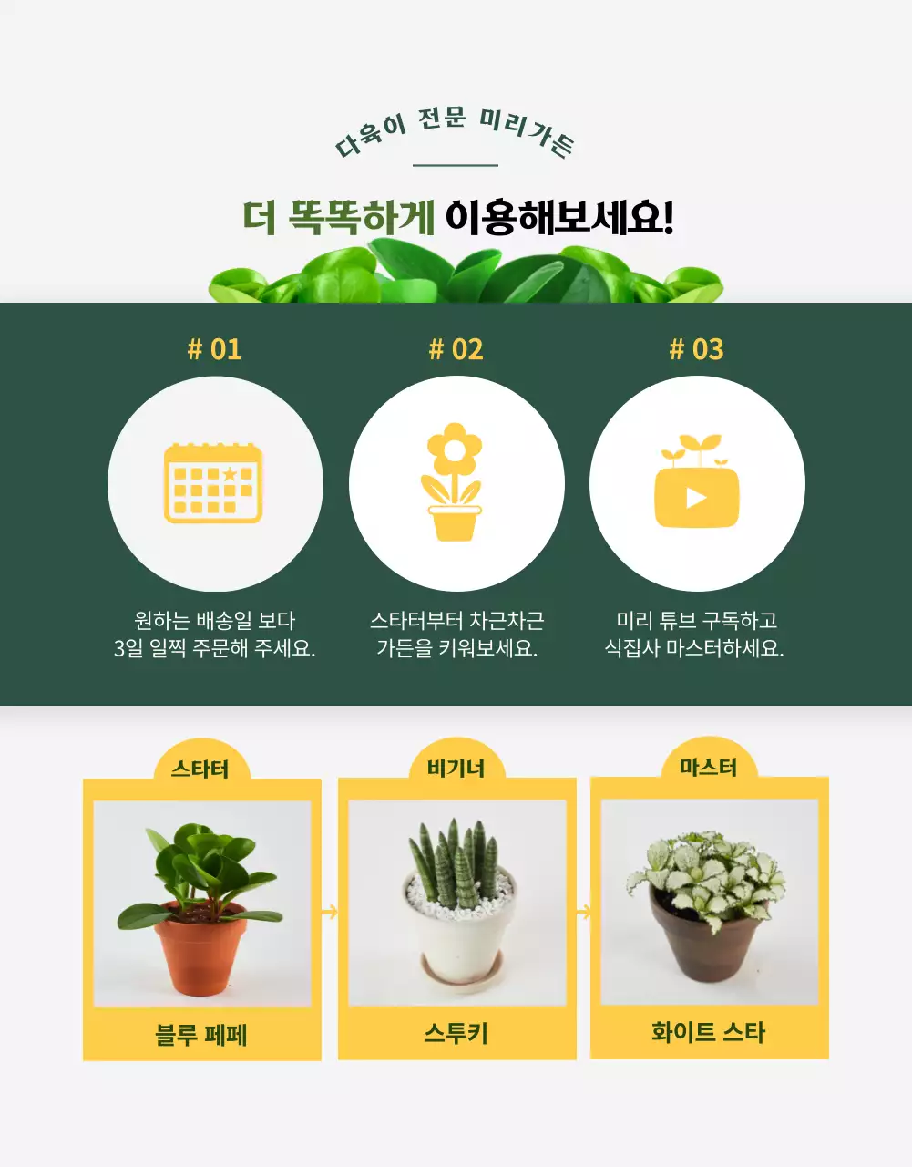 그린컬러 사랑스러운 다육이 전문 쇼핑몰(상세페이지)