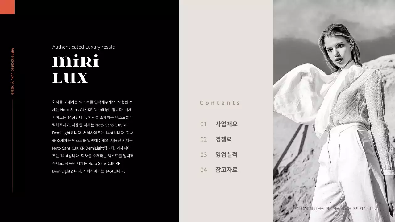 블랙과 오렌지의 럭셔리 회사 소개서