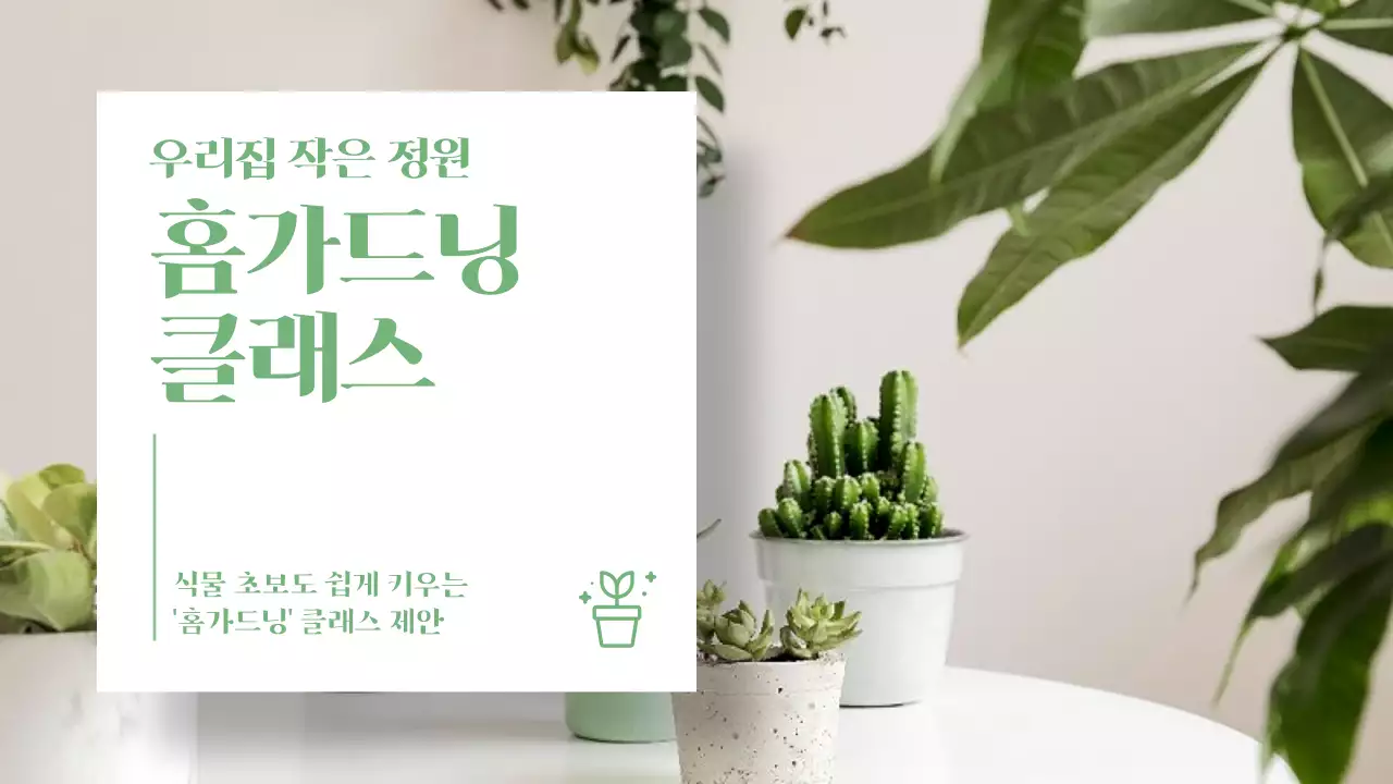 올리브그린색의 따뜻한 클래스 제안서(프레젠테이션)