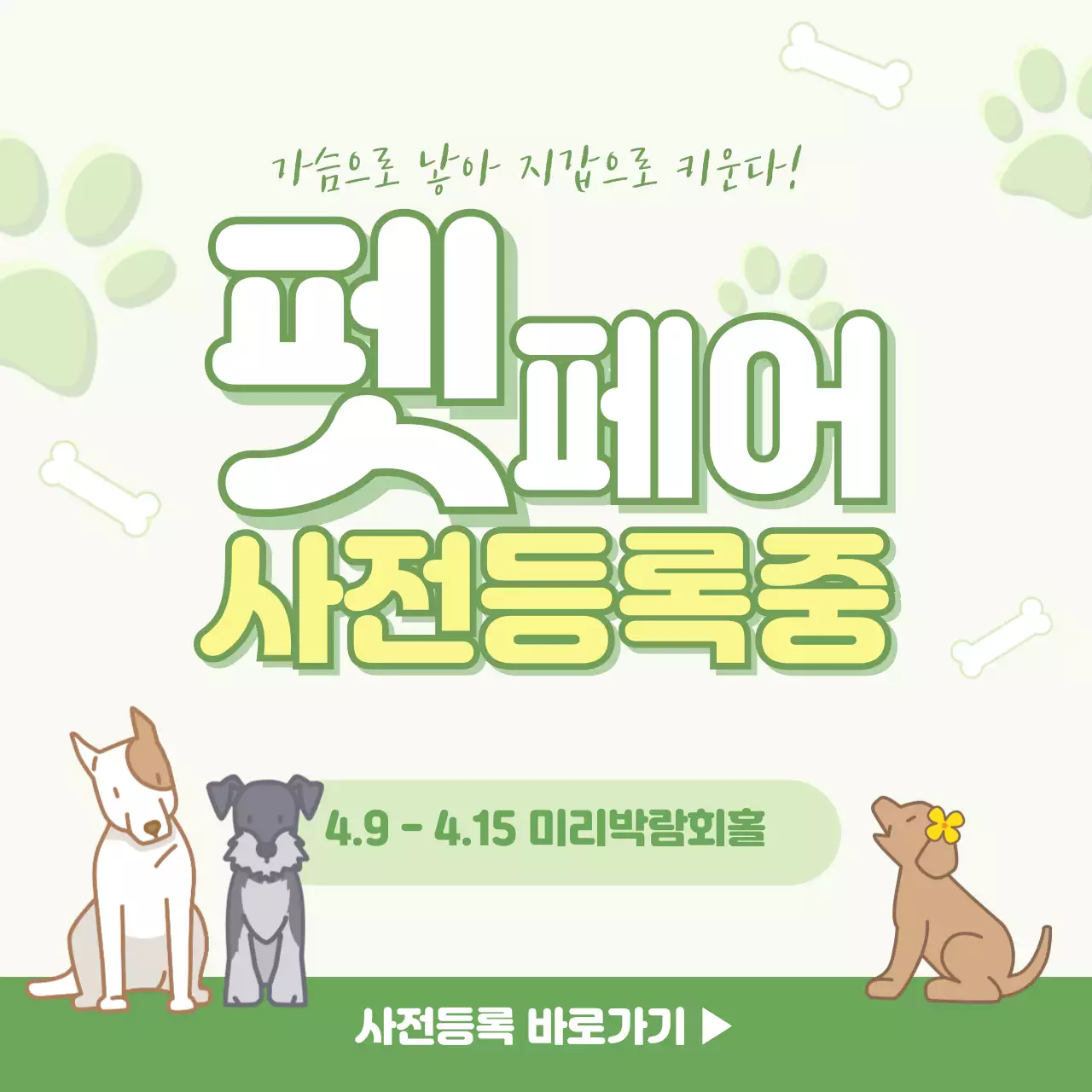 초록색의 펫페어 홍보 소셜미디어
