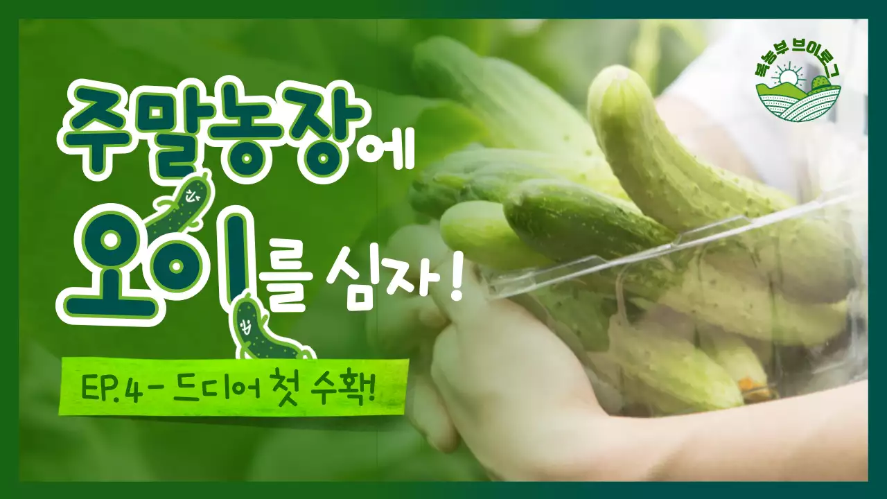 초록색 사진배경의 깔끔한 컨셉 오이농장 테마