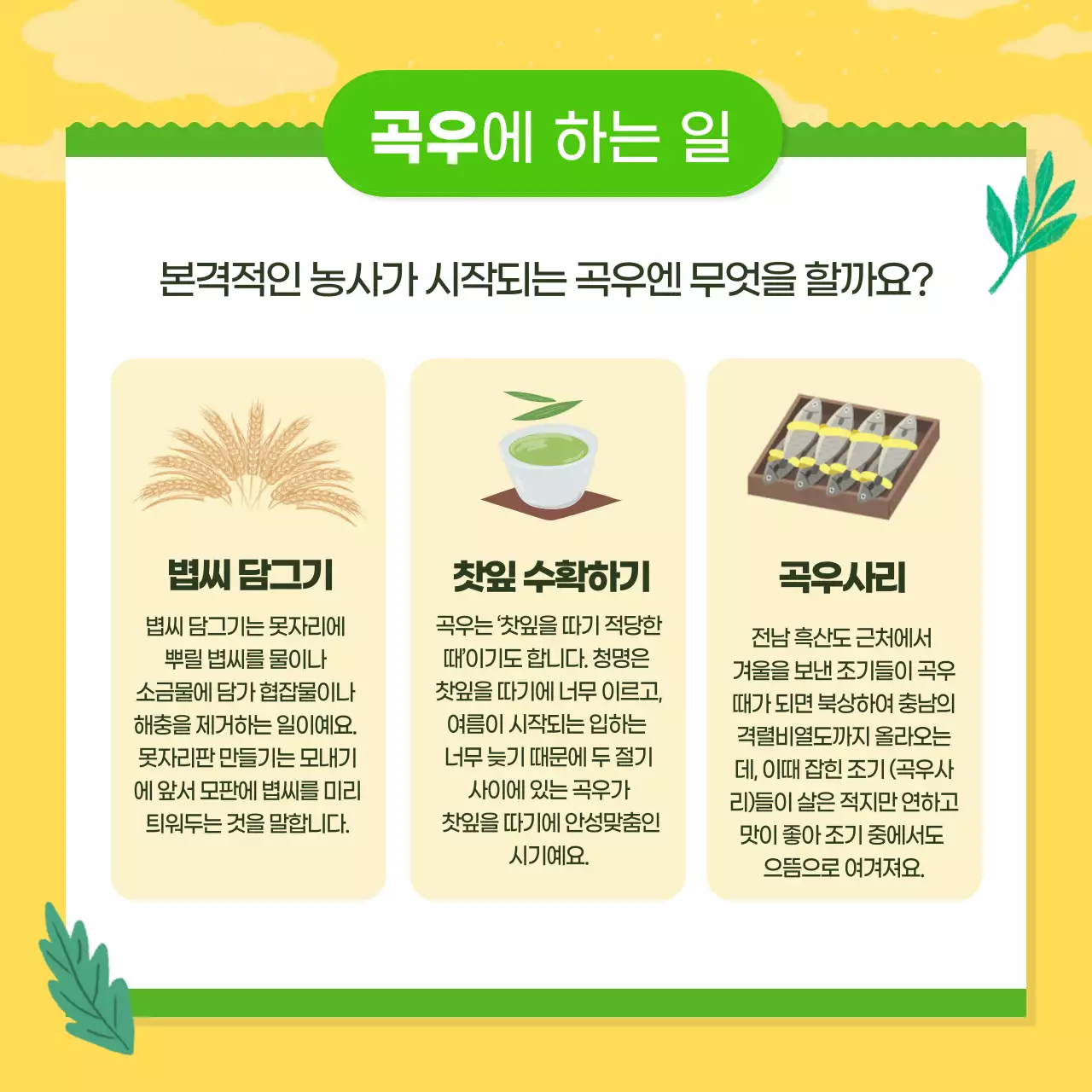 노란색 배경의 농촌 카드뉴스