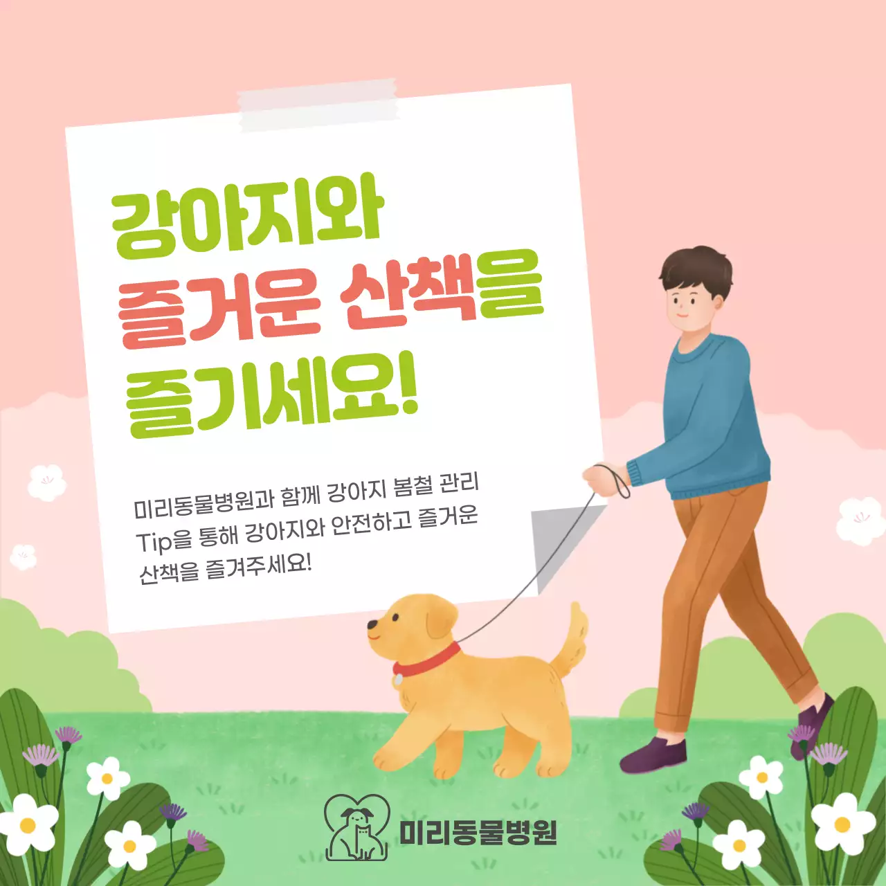 파스텔톤의 강아지 봄철 건강관리 정보제공