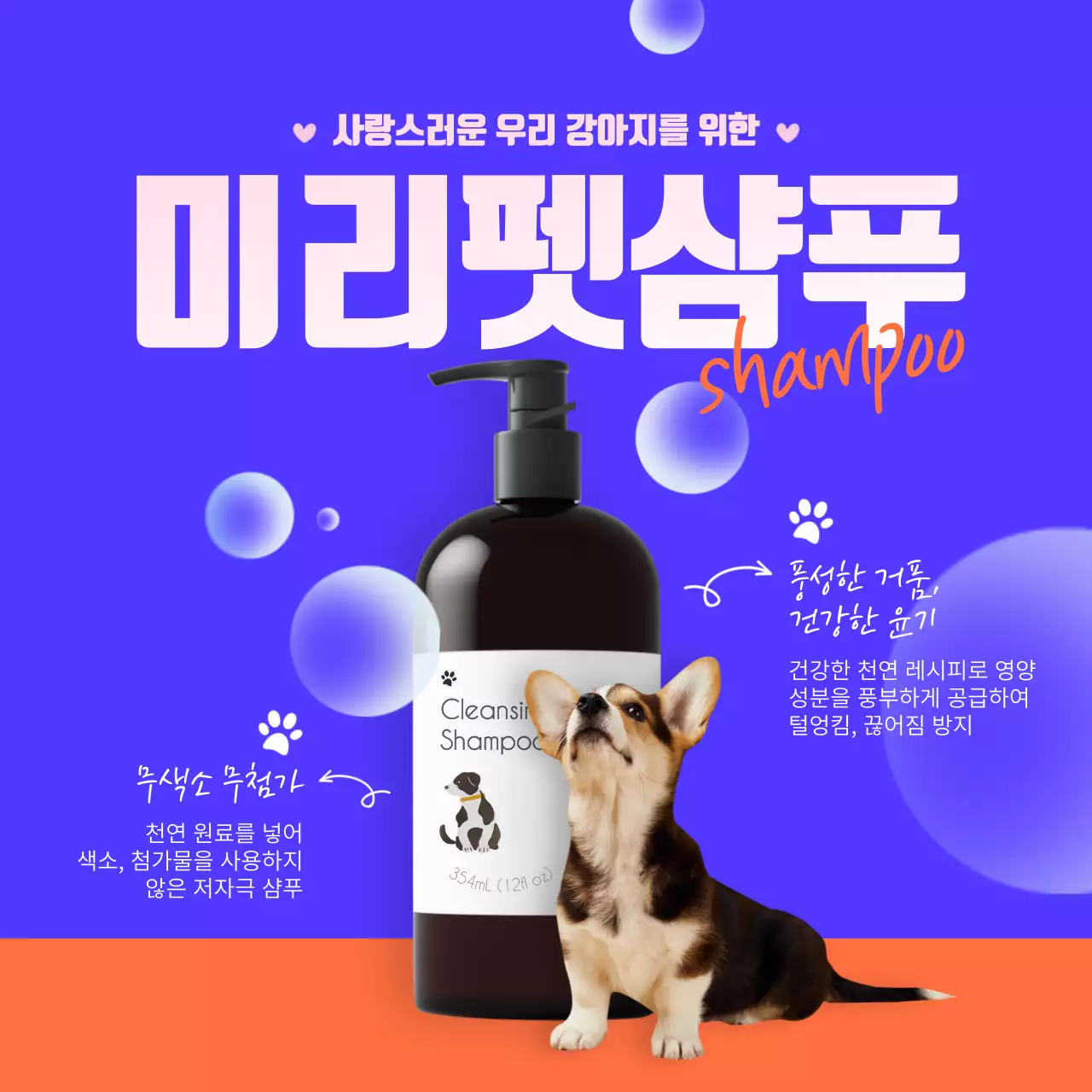 보라색의 펫샴푸 홍보