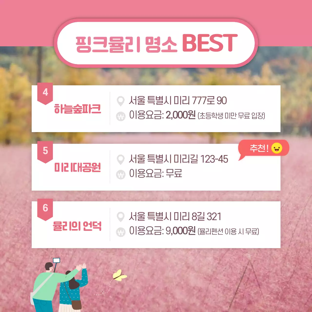 분홍색의 핑크뮬리 명소 카드뉴스 디자인