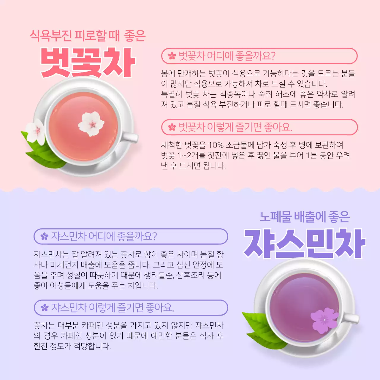 노란색의 상큼한 일러스트 봄꽃차 정보제공