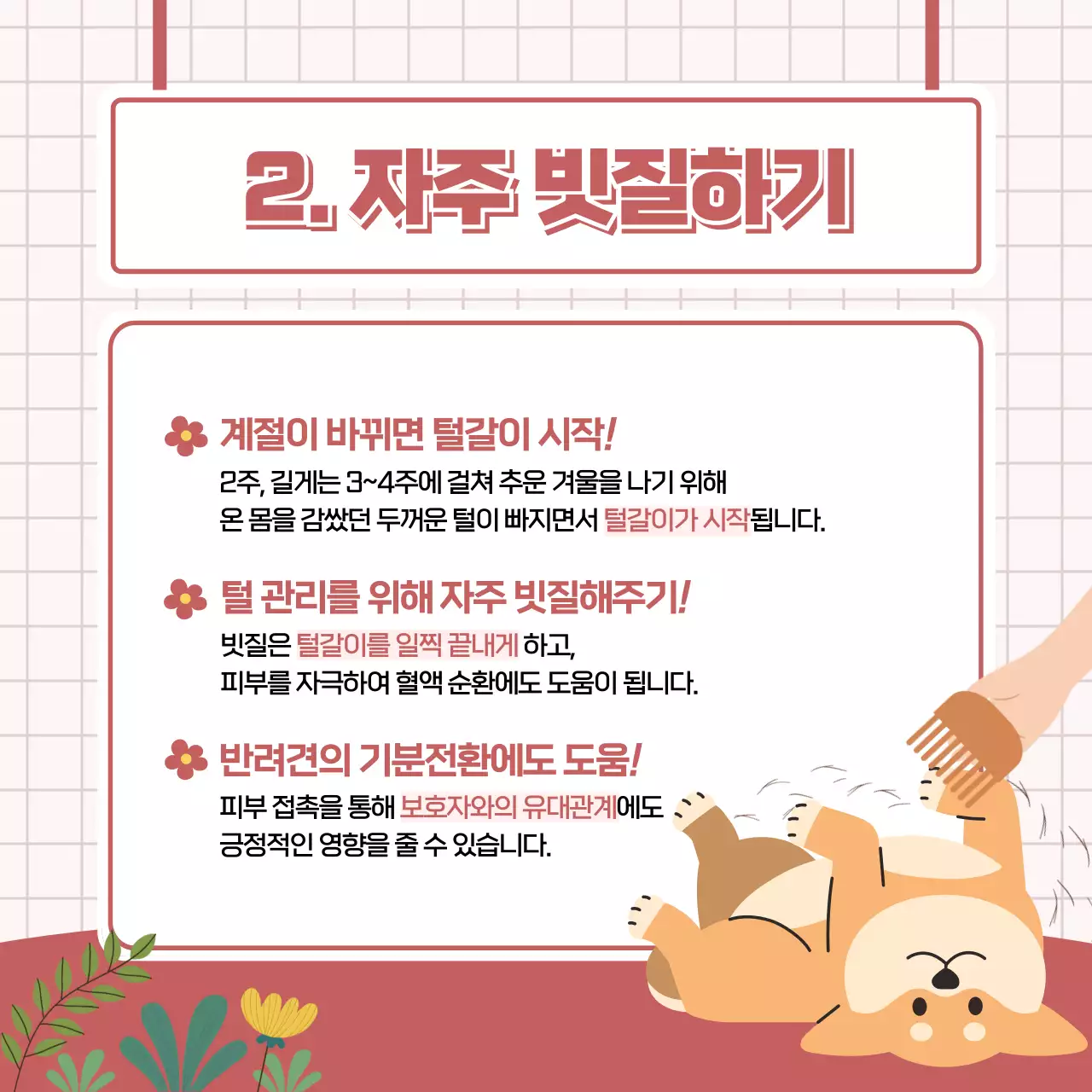 봄 배경의 귀여운 강아지 건강관리법 카드뉴스