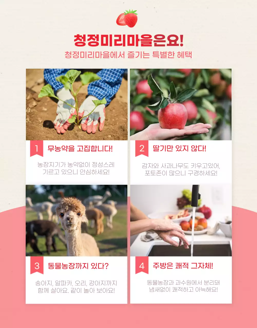 핑크컬러의 일러스트 딸기농장체험 상세페이지