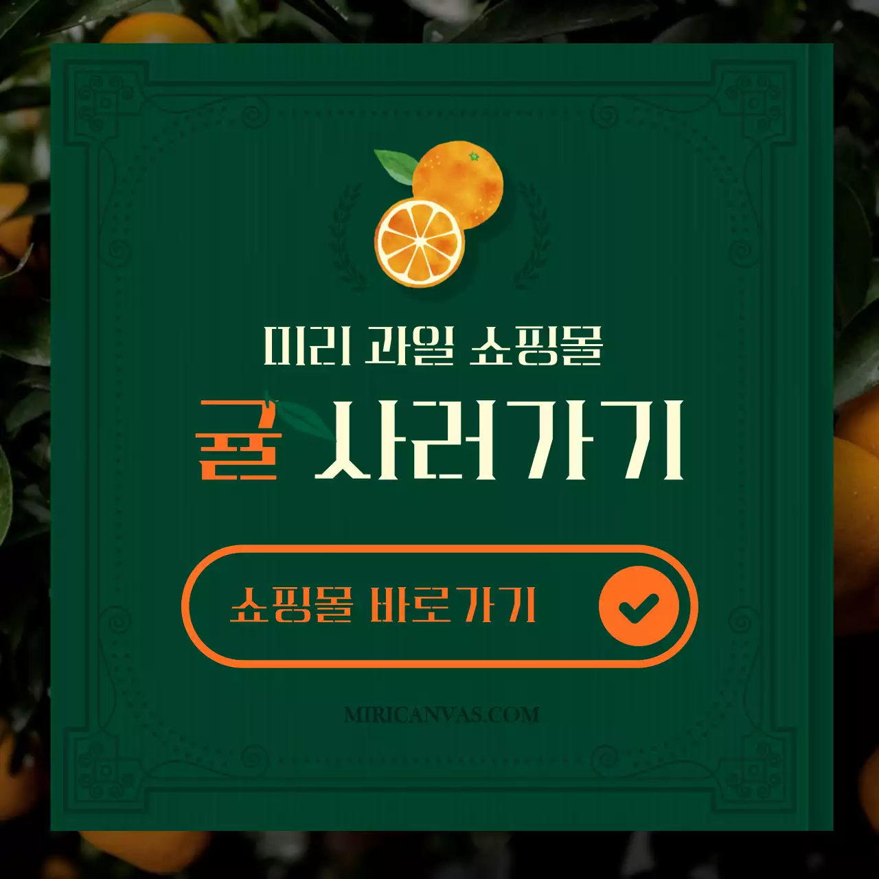 초록색과 주황색의  앨범 책 모양 컨셉의 귤 소개