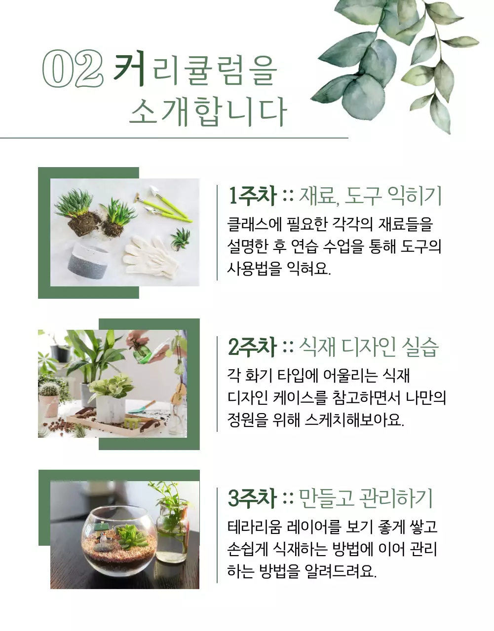 올리브색의 식물테마의 클래스소개