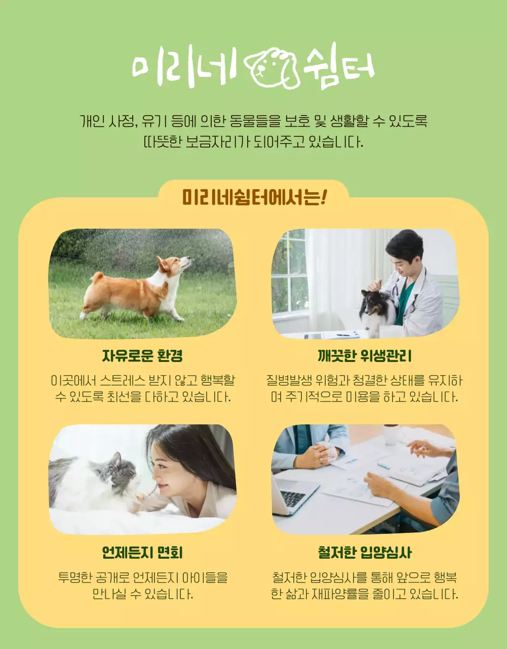 초록과 노랑의 반려동물 입양 안내 상세페이지