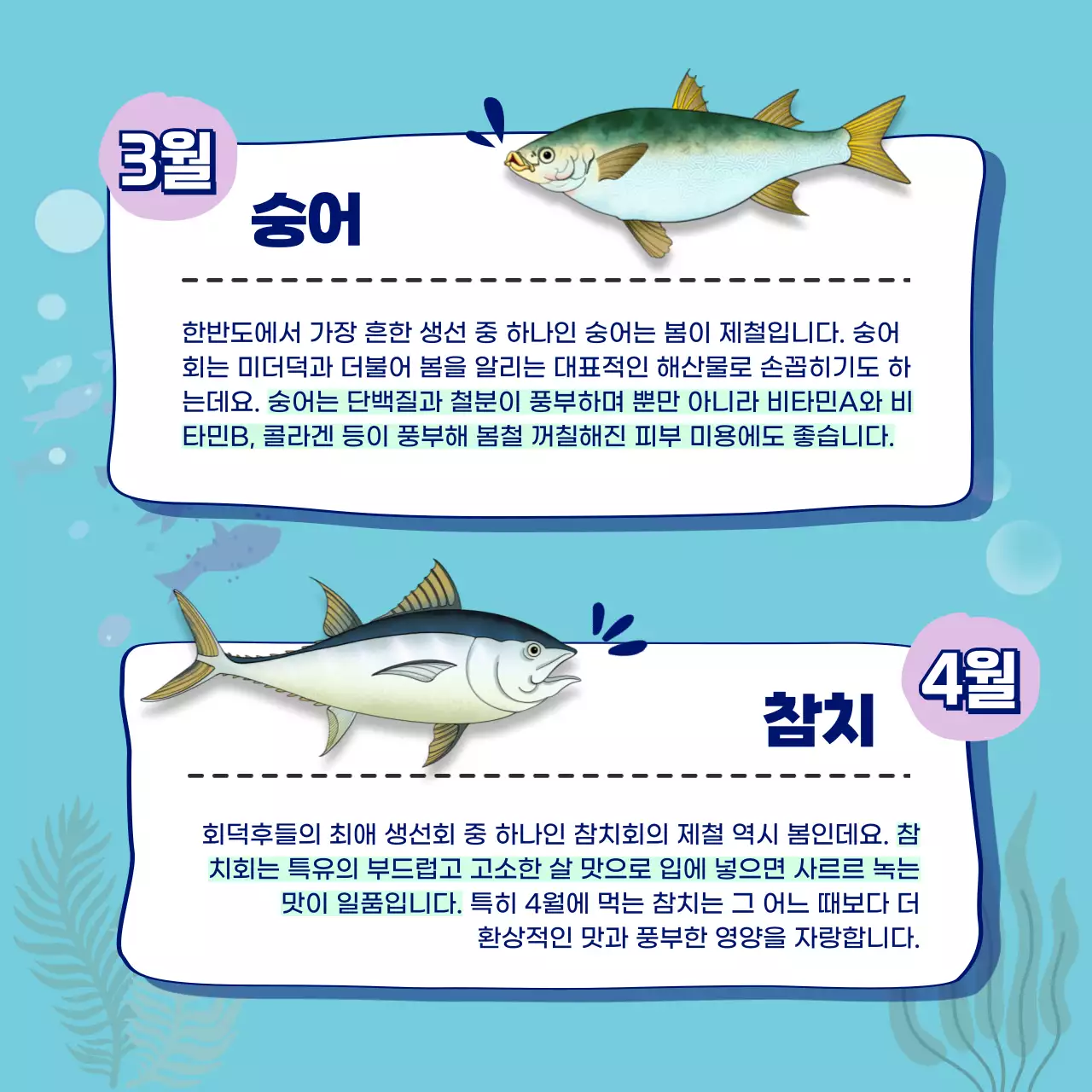 파란색의 제철회 월별 가이드 카드뉴스