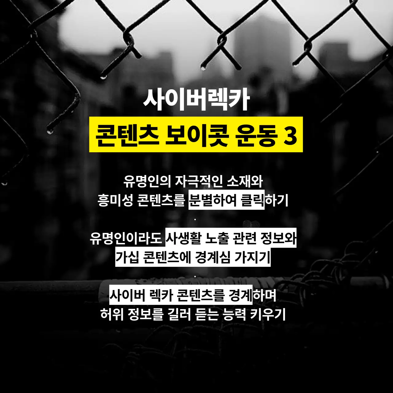 검은색과 노란색의 경고선 느낌의 사이버렉카