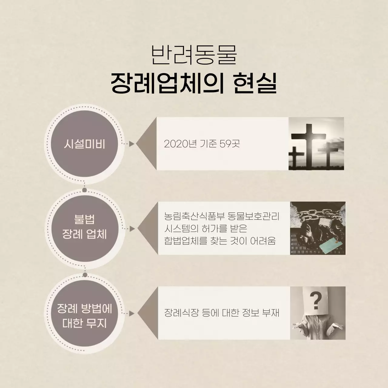 아이보리색의 깔끔한텍스트 반려상조 카드뉴스