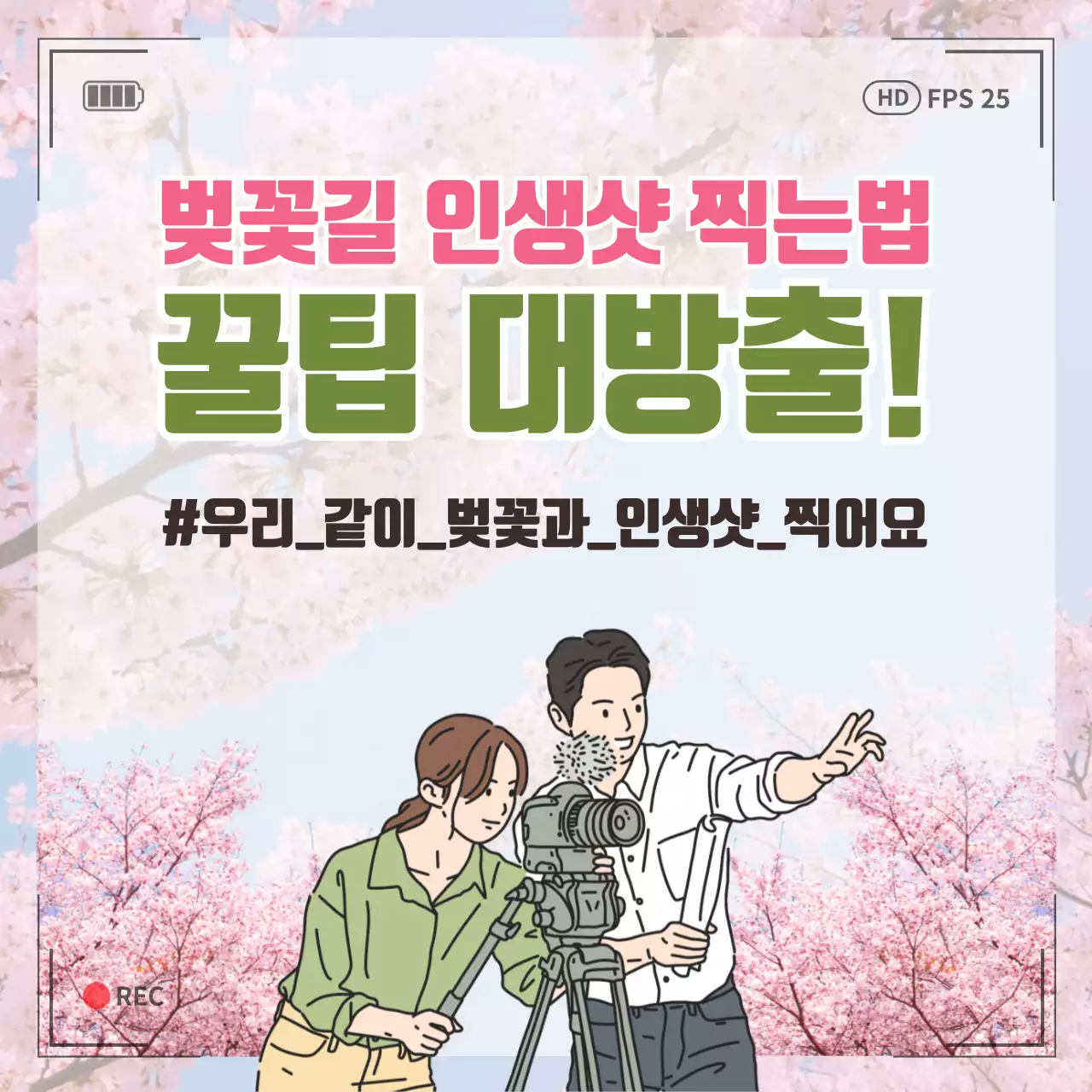 핑크색 벚꽃과 카메라 프레임 일러스트 컨셉의 벚꽃길 인생샷 찍는법 꿀팁 대방출