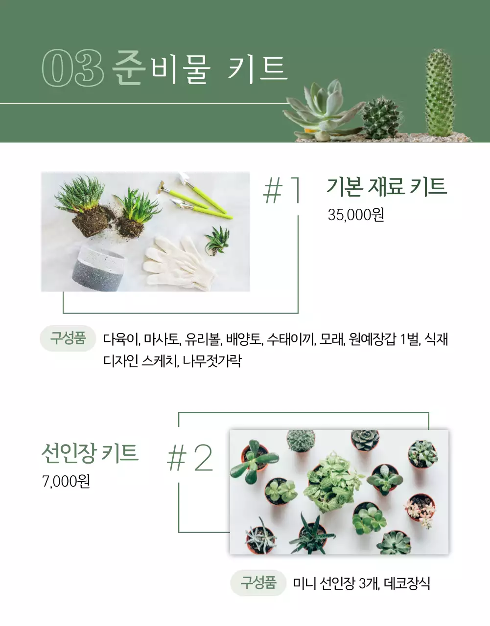 올리브색의 식물테마의 클래스소개