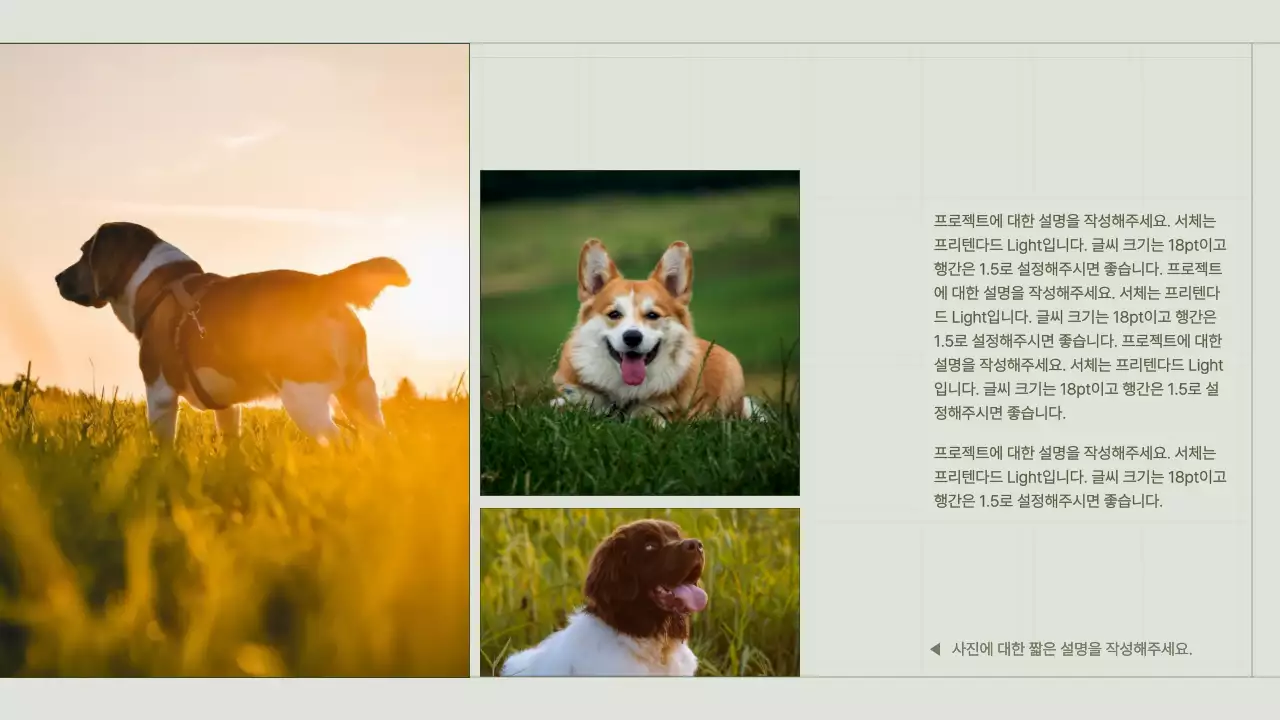 녹색의 심플한 그리드 컨셉의 콘텐츠 마케터 포트폴리오