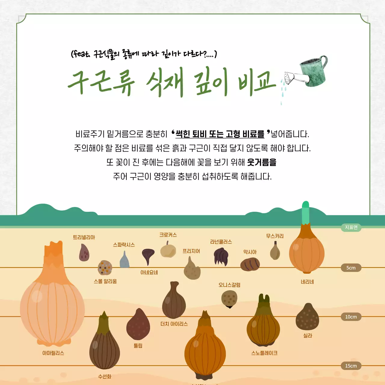 초록색과 노랑의 자연적인 허브 식물 키우기 정보