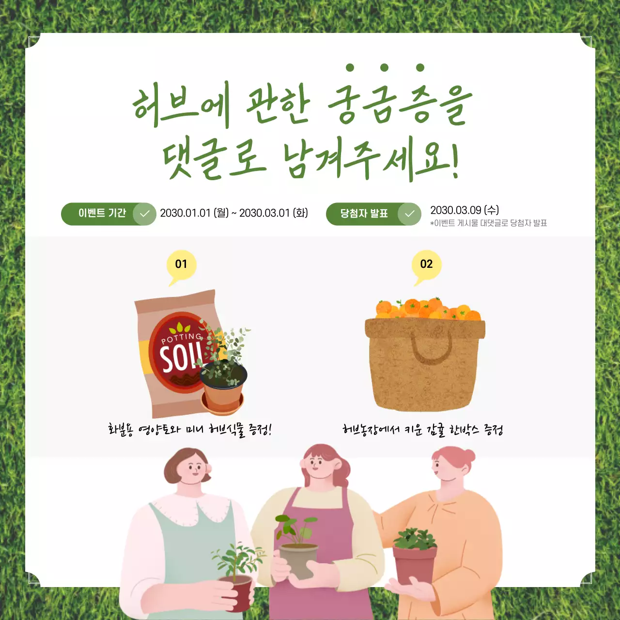 초록색과 노랑의 자연적인 허브 식물 키우기 정보
